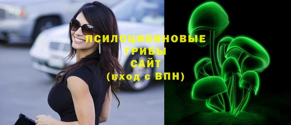 a pvp Абаза
